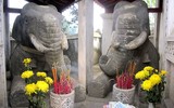 [ẢNH] Du Xuân đầu năm không thể bỏ qua 