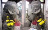 [ẢNH] Du Xuân đầu năm không thể bỏ qua 