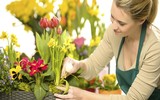 Mẹo nhỏ nhưng công dụng lớn giúp hoa tươi lâu dịp Tết