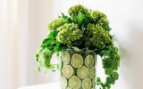 Mẹo nhỏ nhưng công dụng lớn giúp hoa tươi lâu dịp Tết