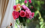 Mẹo nhỏ nhưng công dụng lớn giúp hoa tươi lâu dịp Tết