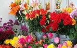 Mẹo nhỏ nhưng công dụng lớn giúp hoa tươi lâu dịp Tết