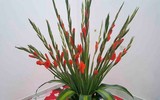 Mẹo nhỏ nhưng công dụng lớn giúp hoa tươi lâu dịp Tết