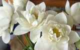 [ẢNH] Những lưu ý quan trọng khi đi lễ chùa đầu năm ai cũng nên biết