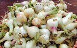 Những thói quen gây hại sức khỏe hay mắc phải ngày Tết