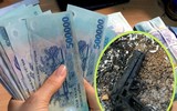 Vụ cướp trạm thu phí Dầu Giây: Những tình tiết đáng chú ý