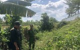 Vụ cướp trạm thu phí Dầu Giây: Những tình tiết đáng chú ý