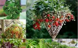 Quà tặng ý nghĩa cho nửa kia trong ngày Lễ tình nhân