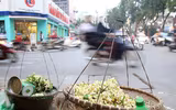 [ẢNH] Thơm ngát hương hoa bưởi 