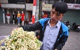 [ẢNH] Thơm ngát hương hoa bưởi 