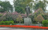 [ẢNH] Hoa ban rực rỡ trong tiết xuân Hà Nội