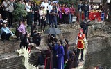 Nan giải tình trạng thực phẩm bẩn, 
