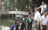 Nan giải tình trạng thực phẩm bẩn, 