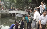 Nan giải tình trạng thực phẩm bẩn, 