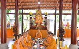 Nan giải tình trạng thực phẩm bẩn, 