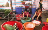 Nan giải tình trạng thực phẩm bẩn, 