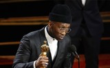 [ẢNH] Sửng sốt với kết quả ngoạn mục khó đoán tại Oscar 2019