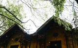 [ẢNH] Mọi miền đất nước bước vào mùa hoa tháng 3 đẹp mê hồn