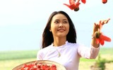 [ẢNH] Mọi miền đất nước bước vào mùa hoa tháng 3 đẹp mê hồn
