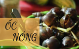 Hà Nội mưa rét: Đi đâu, ăn gì thú vị nhất?