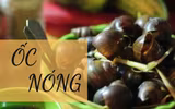 Hà Nội mưa rét: Đi đâu, ăn gì thú vị nhất?