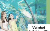 Hà Nội mưa rét: Đi đâu, ăn gì thú vị nhất?