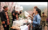 Những cách đối phó với 