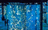 [ẢNH] Độc đáo Triển lãm số: 