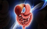 Những tác dụng tuyệt vời không ngờ tới từ hạt chia