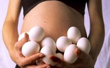 13 loại thực phẩm cực tốt cho mẹ bầu và thai nhi không thể bỏ qua