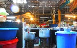 [ẢNH] Người dân tại chợ Yên Phụ đã thoát nạn trong gang tấc như thế nào?