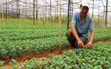 Hướng dẫn bảo quản và lựa chọn thực phẩm tươi ngon!