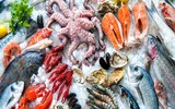 Hướng dẫn bảo quản và lựa chọn thực phẩm tươi ngon!