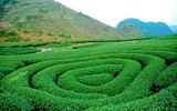 Những địa điểm du lịch tuyệt vời cho kỳ nghỉ lễ 10-3 âm lịch