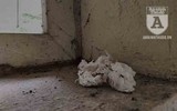 [Ảnh] Công viên Cầu Giấy: Hãi hùng vào nhà vệ sinh công cộng bẩn thỉu