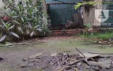 [Ảnh] Công viên Cầu Giấy: Hãi hùng vào nhà vệ sinh công cộng bẩn thỉu
