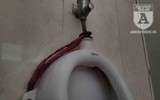 [Ảnh] Công viên Cầu Giấy: Hãi hùng vào nhà vệ sinh công cộng bẩn thỉu