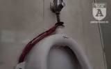 [Ảnh] Công viên Cầu Giấy: Hãi hùng vào nhà vệ sinh công cộng bẩn thỉu