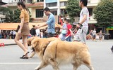 [ẢNH] Nghỉ lễ giỗ Tổ Hùng Vương: Người dân Hà Nội 