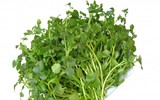 Những thực phẩm ngăn ngừa ung thư cổ tử cung
