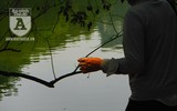 [Ảnh] Đa dạng cách chống nắng của người Hà Nội trong ngày đầu nóng cao điểm