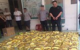 Lại bắt giữ 1,1 tấn ma túy tổng hợp giấu trong loa thùng ở TP.HCM