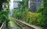[Ảnh] Những khoảnh khắc bình dị nơi ‘xóm đường tàu’ khi bình minh lên