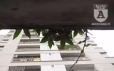 [Ảnh] Hình ảnh 