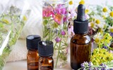 Bí quyết đơn giản chống say tàu xe