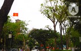[Ảnh] Những cảnh 