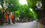 [Ảnh] Những cảnh 
