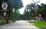 [Ảnh] Những cảnh 