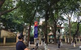 [ẢNH] Cờ đỏ sao vàng, biểu ngữ rợp trời Hà Nội mừng các ngày Lễ lịch sử của đất nước
