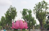 [ẢNH] Cờ đỏ sao vàng, biểu ngữ rợp trời Hà Nội mừng các ngày Lễ lịch sử của đất nước